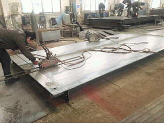 Changzhou Skyerscale Co.,Limited 공장 생산 라인