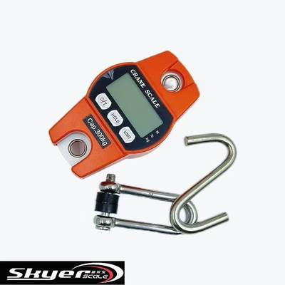 품질  300kg Digital Crane Scale with LED LCD Display 공장