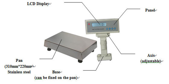 LCD 디스플레이를 가진 0.1g 정밀도 전자 균형 가늠자