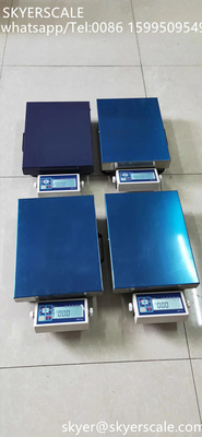 우편 물류 우편 30x40cm 150kg 산업용 가중용 전기 벤치 척도