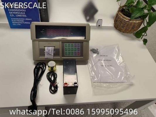 산업용 디지털 웨이징 기기 표시기 야오후아 A9P