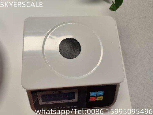 스테인리스 스틸 스켈 D6 방수 무게 스켈 IP68 무게 디지털 방수 스켈