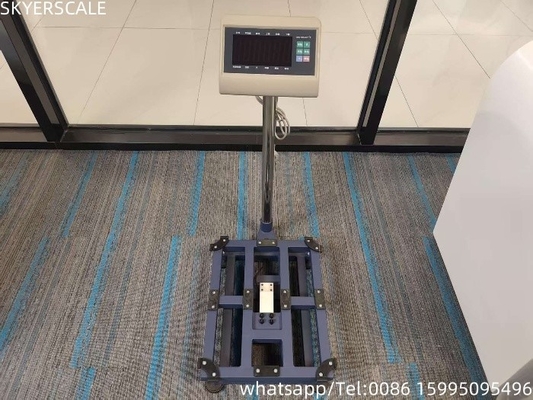 디지털 탄소 강철 45x60cm 300kg 플랫폼 스케일 T7+E 가중 표시기와 함께 벤치 스케일