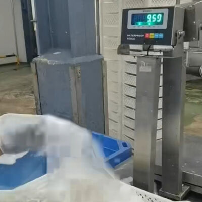 30x40cm 304 스테인리스 스틸 방수 벤치 스케일 100kg