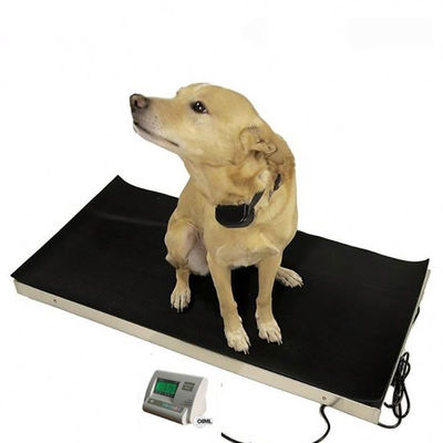 LED 60kg 정밀도 동물성 디지털 방식으로 무게 가늠자